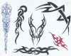 tribal pics of tattoo